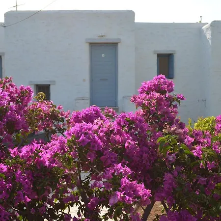 Seaview Villa